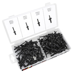 Performance Tool 80-PC Poly Rivet Assortmnet PMW5250 - Direct Tool Source