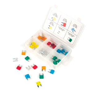 Performance Tool 30 Piece Mini Fuse Assortment PMW5371 - Direct Tool Source